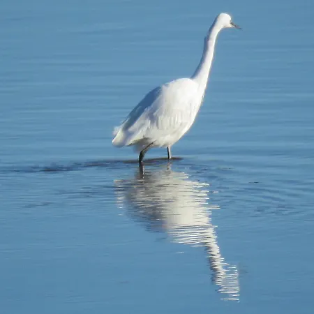 Affittacamere The Bay Horse And Restaurant 4*