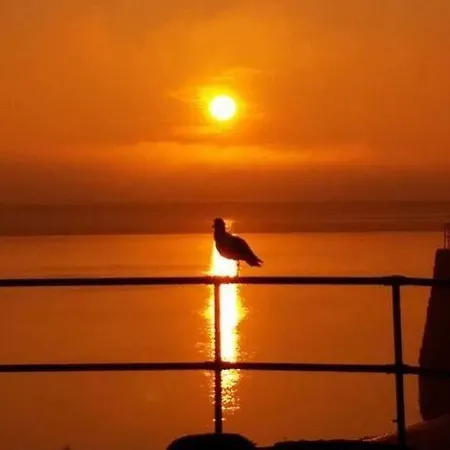 The Bay Horse And Restaurant