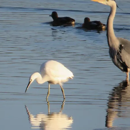 The Bay Horse And Restaurant 4*