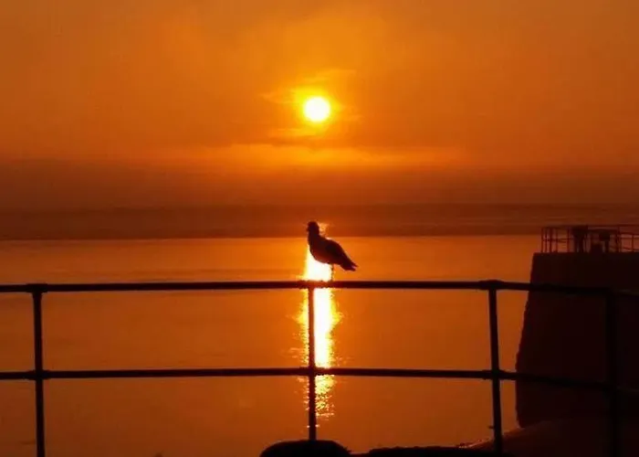 The Bay Horse And Restaurant