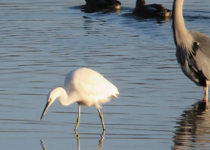 The Bay Horse And Restaurant 4*