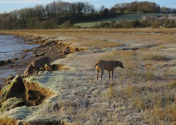 The Bay Horse And Restaurant 4* Ulverston