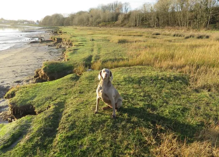 The Bay Horse And Restaurant 4*